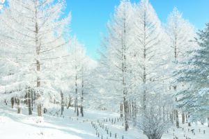 겨울 국내 여행 숨겨진 명소 BEST 5