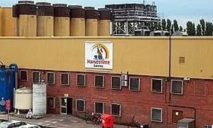 살아있는 채로 오븐에서 구워진 비극 하베스타임 제과점 오븐 참사