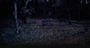 링의 사다코와 셔터의 나트레가 맞짱뜨면 누가 이길까?