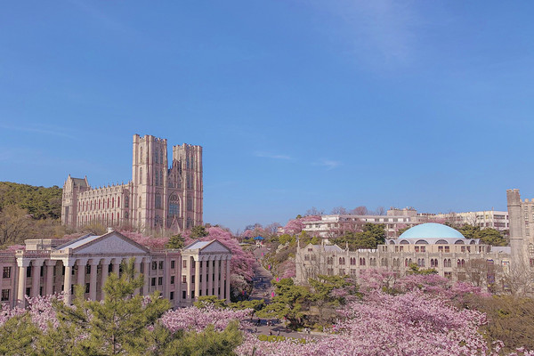 경희대학교 서울캠퍼스